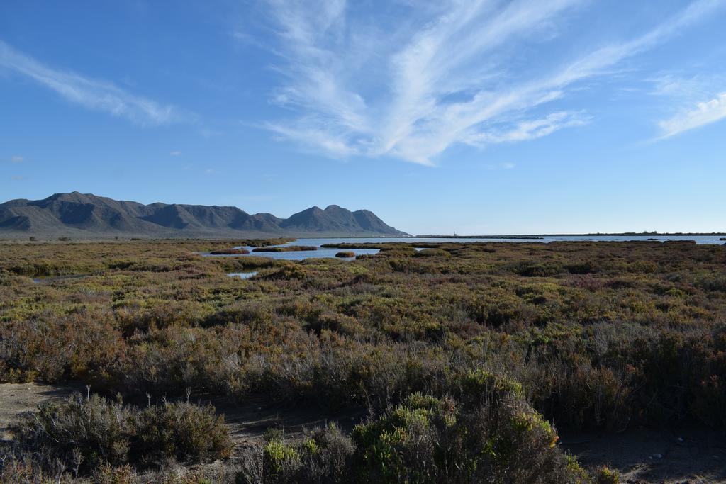 Cortijo La Molina De Cabo De Gata Pensionat Exteriör bild