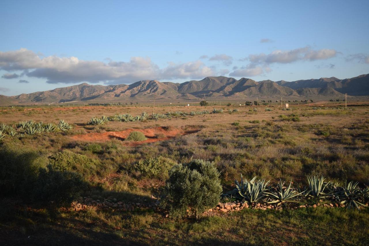 Cortijo La Molina De Cabo De Gata Pensionat Exteriör bild